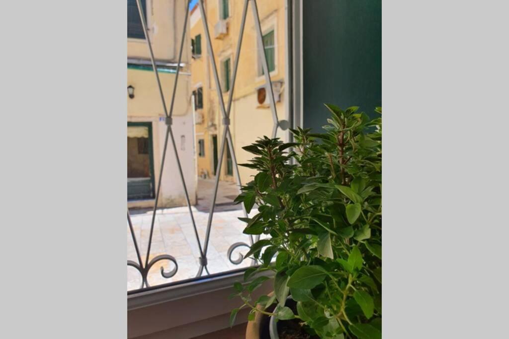 Elia Luxury Suite, Corfu Town Εξωτερικό φωτογραφία